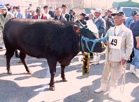 Matsusaka cow gets top prize amid mad cow scare